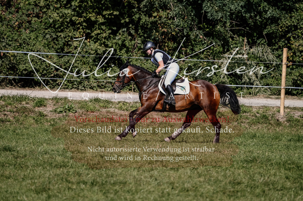DSC_1499 | Pferde- und Turnierfotografie in Westsachsen. Pferdeportraits, Auftragszeichnungen und intuitive Kunst.