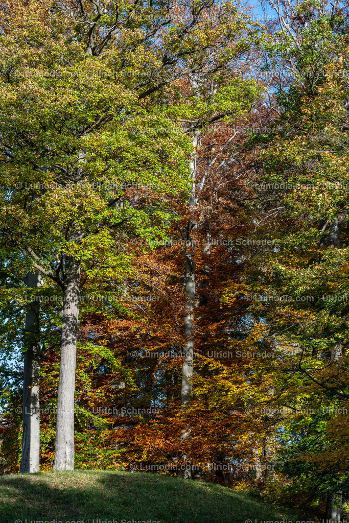 10049-12625 - Schloßpark Ilsenburg im Harz | Stockfoto und Bilderpool mit Bildmaterial aus Deutschland, dem Harz, Halberstadt, Quedlinburg, Wernigerode und weltweit. Qualitativ hochwertige und professionelle Fotos anschauen und kaufen. - Realisiert mit Pictrs.com