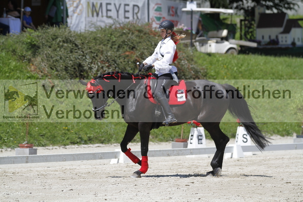 _MG_7468 | equestrian-live-com