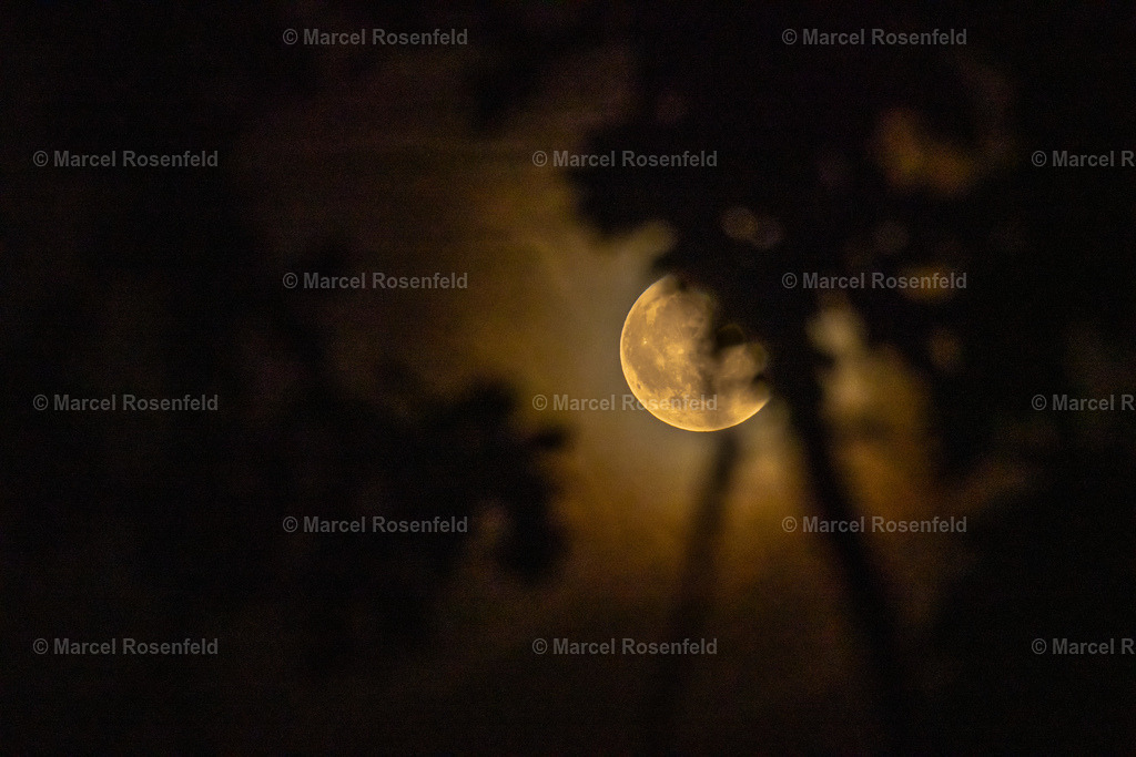 _DSC1159 | foto-rosenfeld