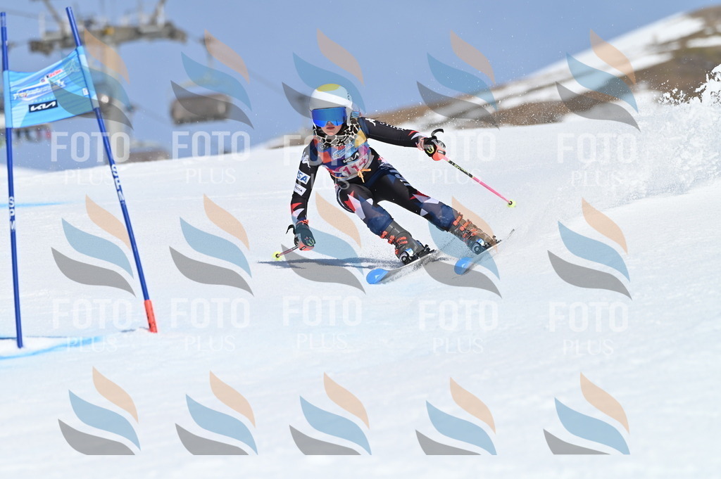 BGV_9701 | holidayphoto