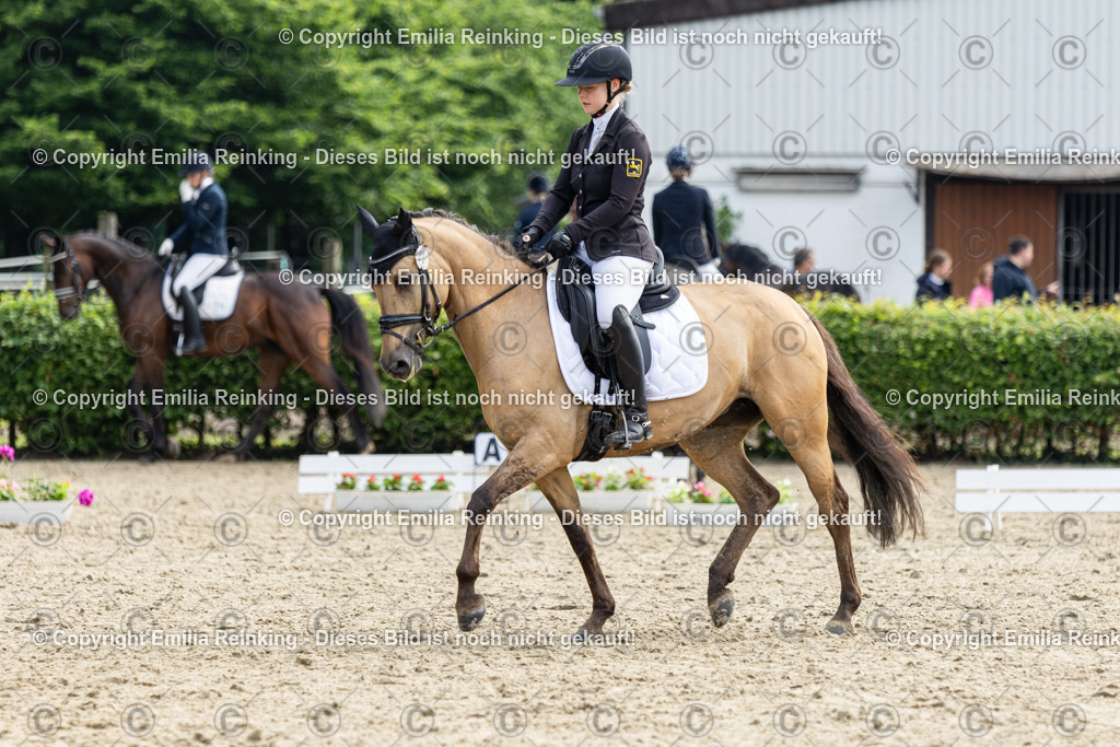 CL5A5227 | Emilia Reinking Fotografie - Realisiert mit Pictrs.com