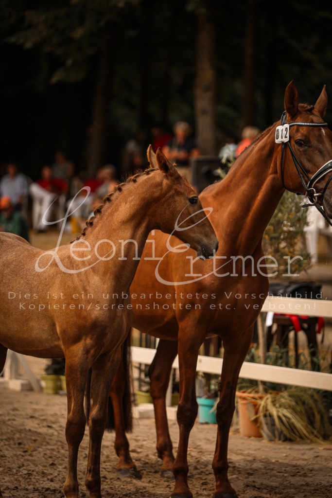 SaPA00169 | Leoni Ertmer Photography - Realisiert mit Pictrs.com