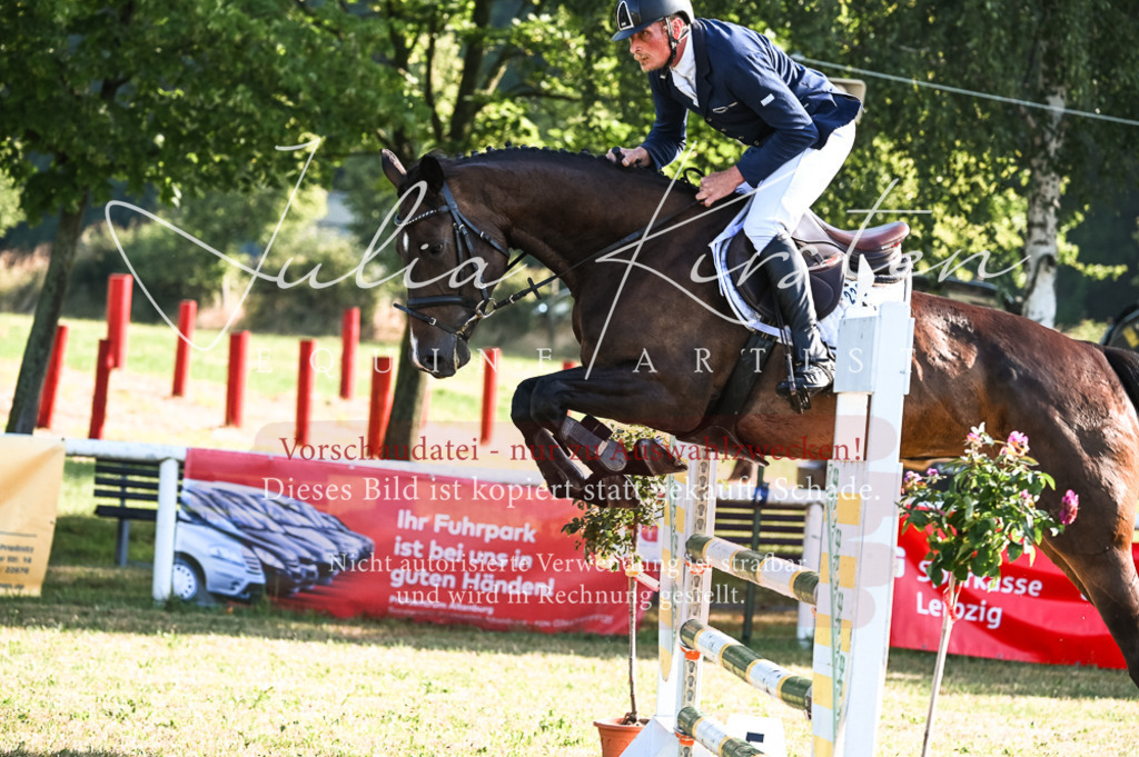 DSC_7450 | Pferde- und Turnierfotografie in Westsachsen. Pferdeportraits, Auftragszeichnungen und intuitive Kunst.
