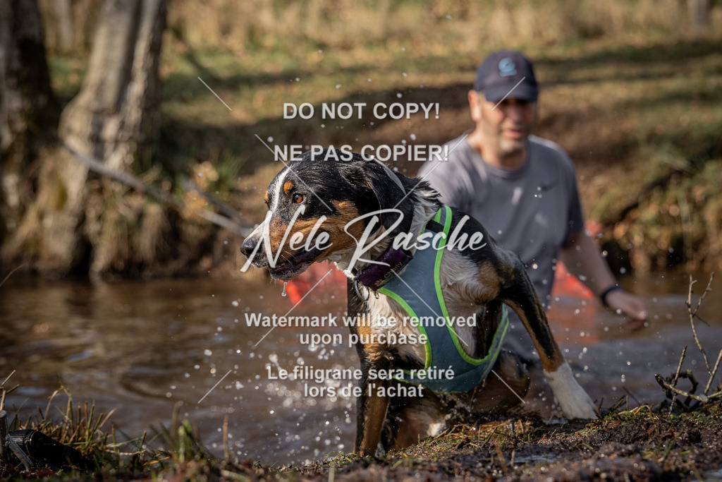 nelerasche_FS1330-1400_147 | nelerasche