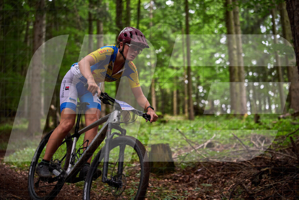 Betriebszentrum Laubenbachmühle, Frankenfels, Österreich - 13. September 2025: Dirndltal Race - Fun und Trophy RaceFotograf: Martin Bihounek / martinbihounek.com | 13. September 2025 Betriebszentrum Laubenbachmühle, Frankenfels, Österreich : Dirndltal Race - Fun und Trophy Race •••••Photo by: Martin Bihounek / martinbihounek.comInsta: @martinbihounekcom