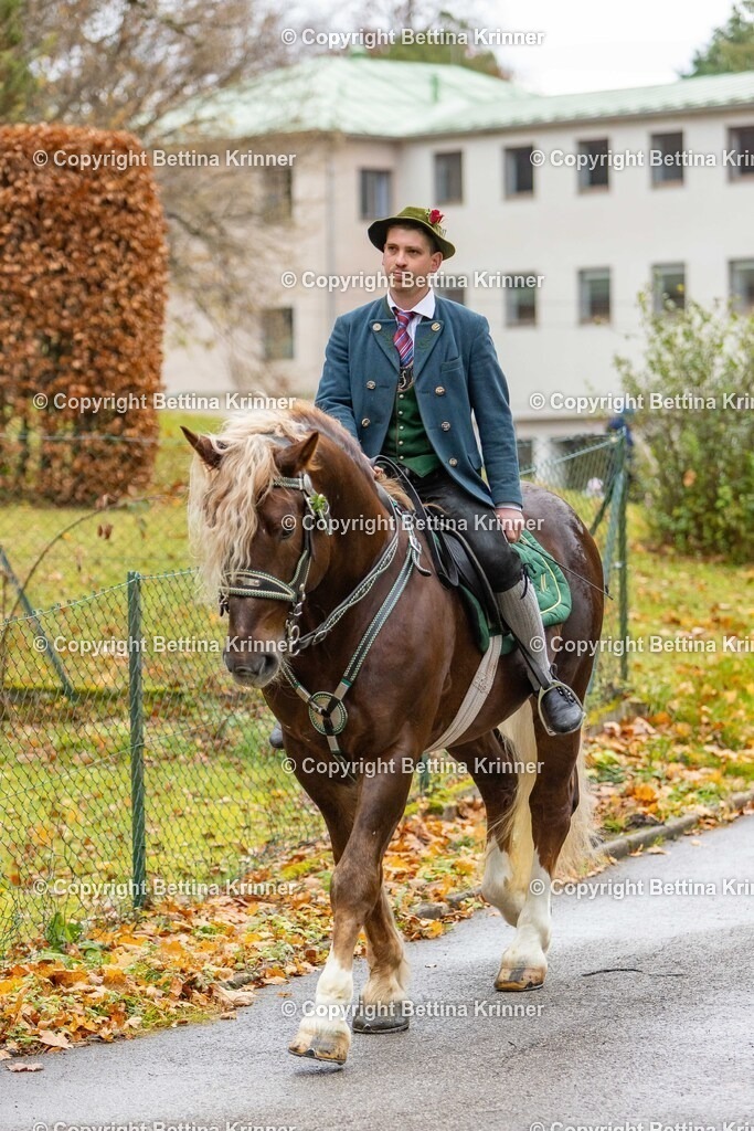 LL25-85 | foto-bettina-krinner - Realisiert mit Pictrs.com