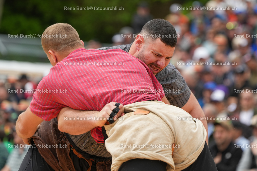 RB-04260 | René Burch leidenschaftlicher Fotograf aus Kerns in Obwalden.  Hier finden sie Sport, Landschaft und Natur Fotografie.
 - Realisiert mit Pictrs.com