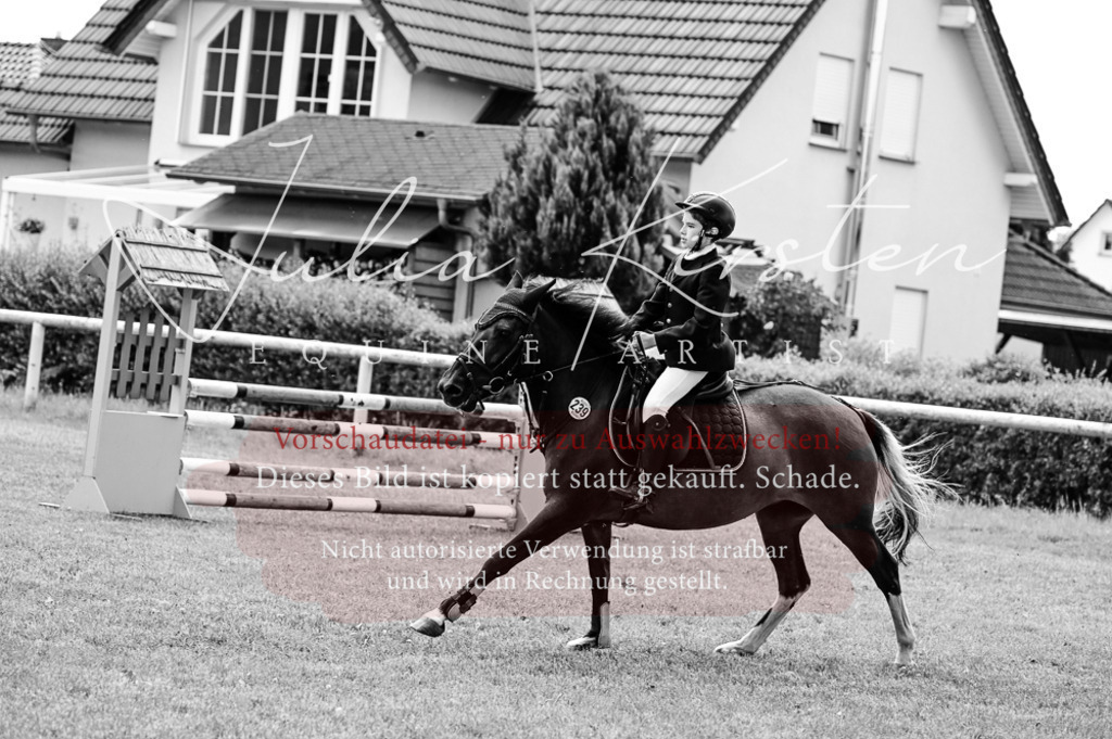 DSC_9762 | Pferde- und Turnierfotografie in Westsachsen. Pferdeportraits, Auftragszeichnungen und intuitive Kunst.