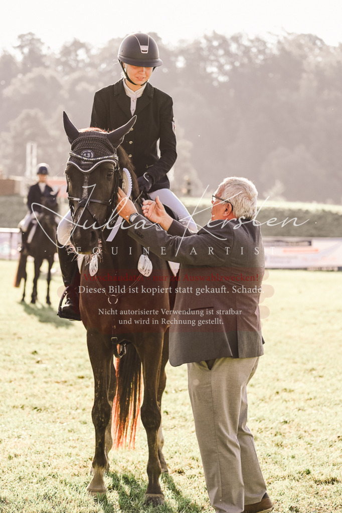 DSC_4553 | Pferde- und Turnierfotografie in Westsachsen. Pferdeportraits, Auftragszeichnungen und intuitive Kunst.