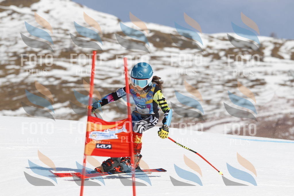 _U3G0416 | holidayphoto