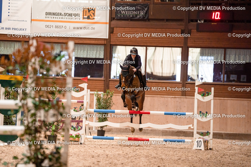 Springen Tag 3-078 | dv-media-shop - Realisiert mit Pictrs.com