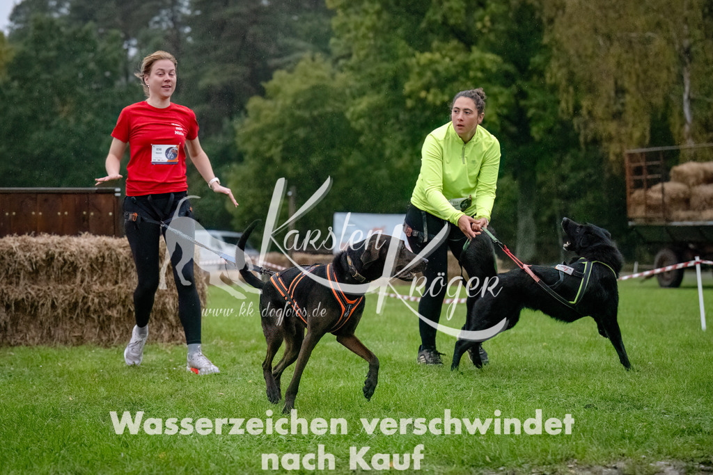 0821-_ZZ91091-Bearbeitet-Bearbeitet | kk-dogfotos