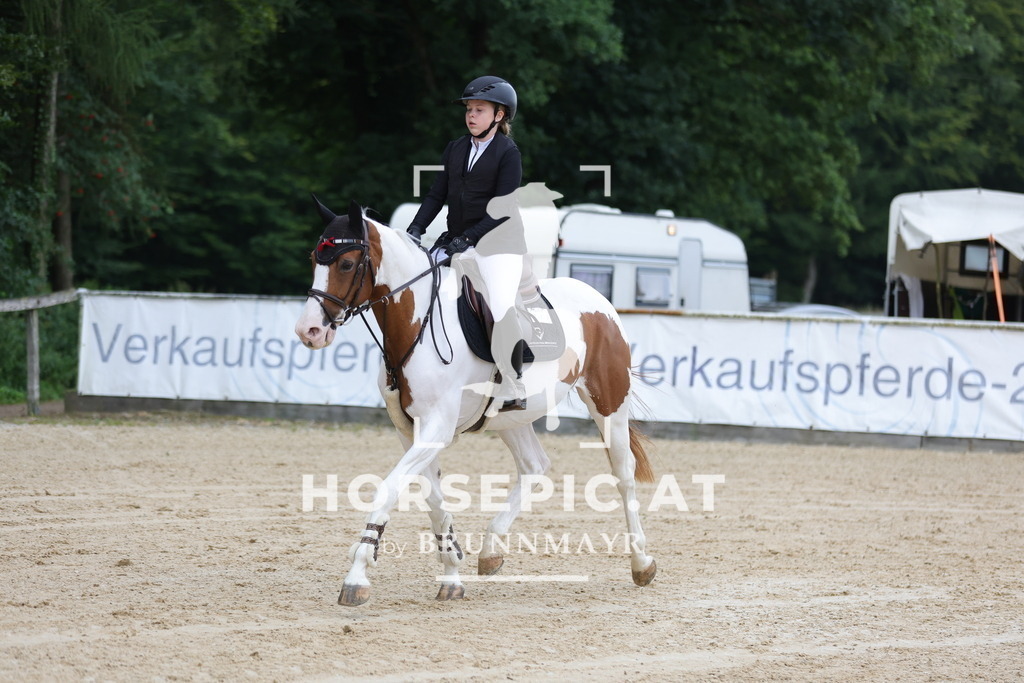 0P6A7332 | Willkommen bei Brunnmayr - Design & Fotografie – Ihrem Spezialisten für Reitturniere und Pferdeveranstaltungen in Oberösterreich, Salzburg und Bayern! Seit über 17 Jahren sind wir leidenschaftlich dabei.