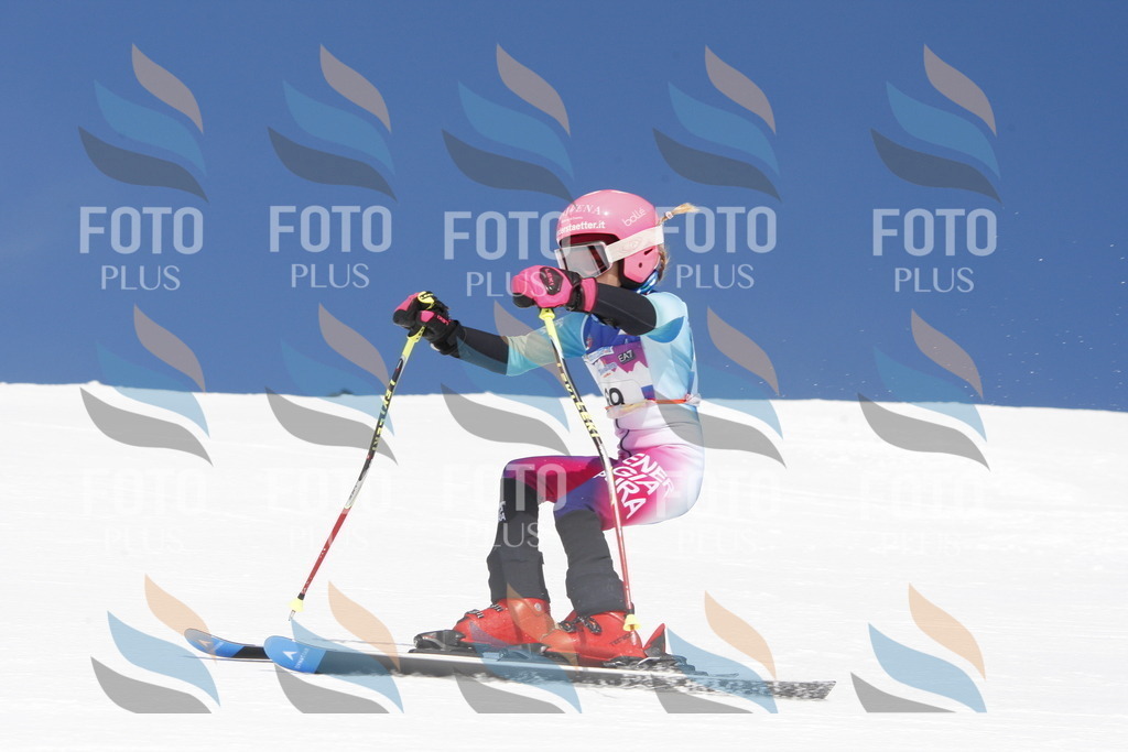 _W1G1019 | holidayphoto