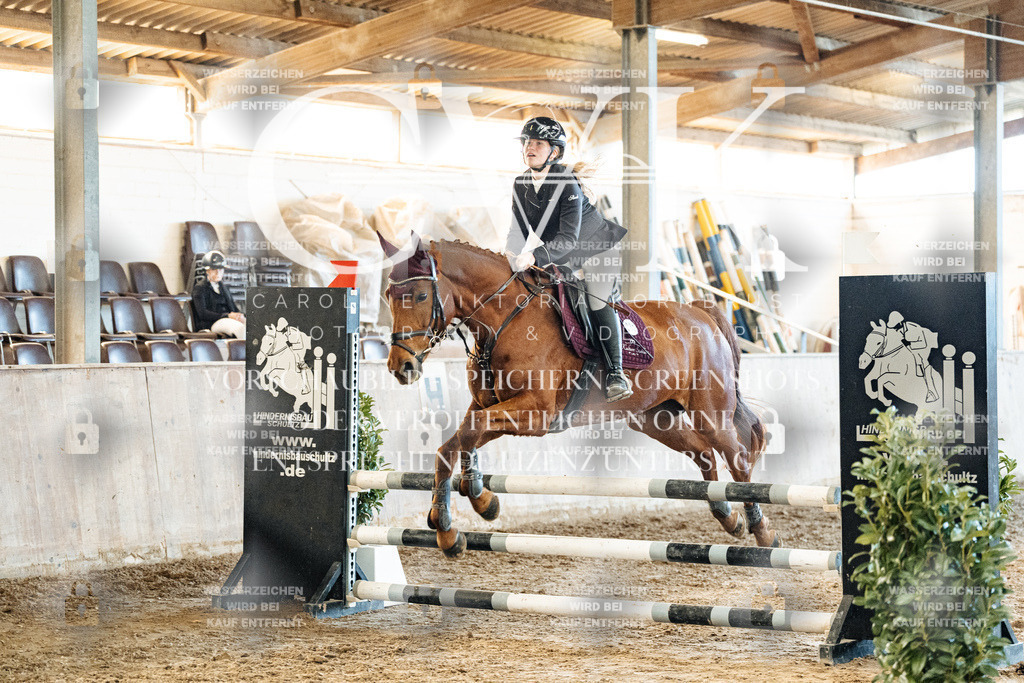 CK904729 | Turnierfotografie Pferdefotografie Trier Rheinland-Pfalz Pferdesport Reitsport Tierfotografie Sportfotografie Pferdevideo Pferdevideografie Equestrianvideography equestrianphotography  - Realized with Pictrs.com