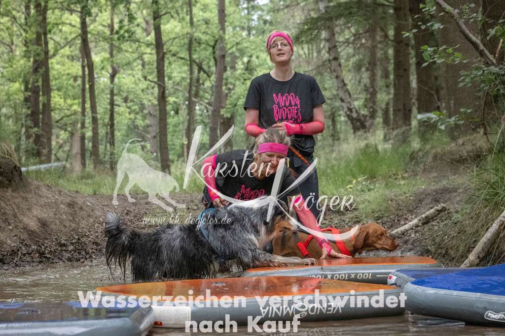 0929_ZZ92624 | kk-dogfotos