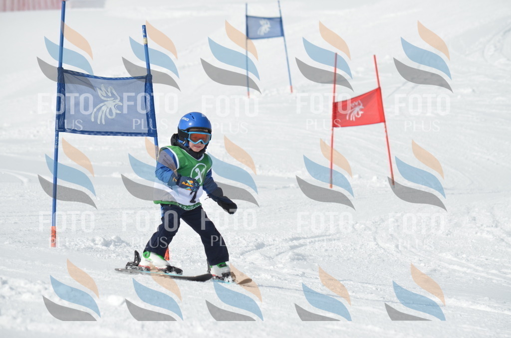 D8456 | holidayphoto