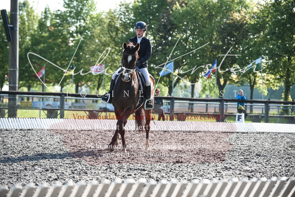 DSC_8299 | Pferde- und Turnierfotografie in Westsachsen. Pferdeportraits, Auftragszeichnungen und intuitive Kunst.
