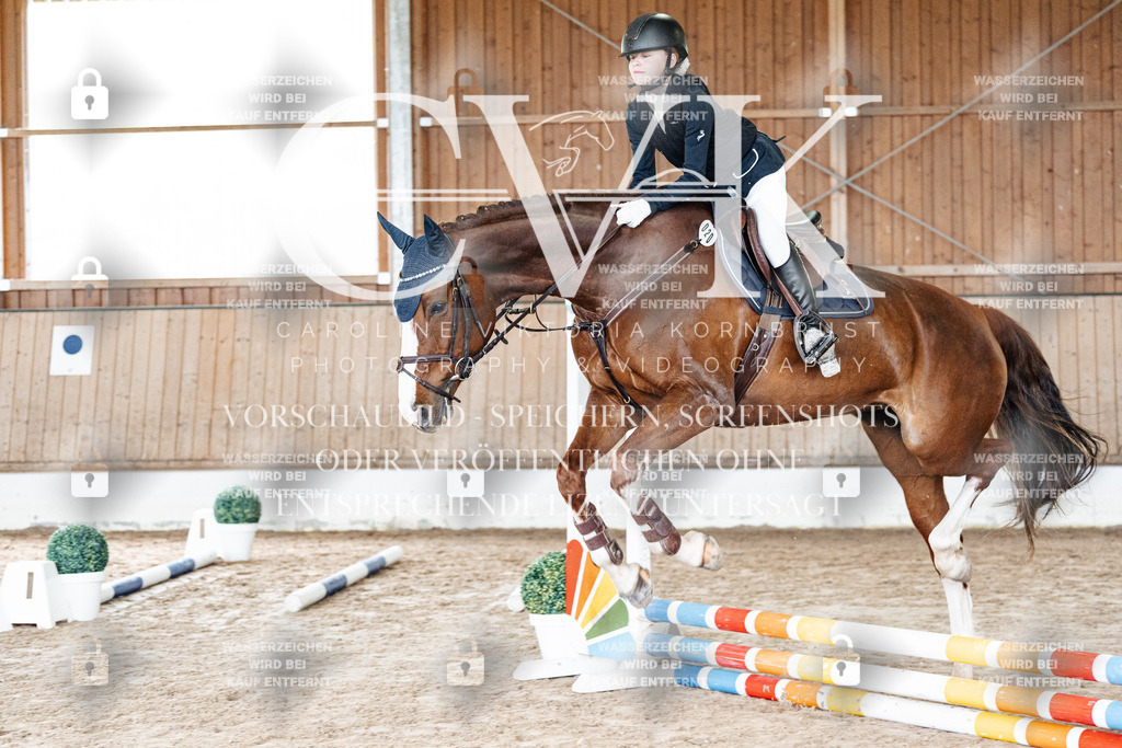 CK902606 | Turnierfotografie Pferdefotografie Trier Rheinland-Pfalz Pferdesport Reitsport Tierfotografie Sportfotografie Pferdevideo Pferdevideografie Equestrianvideography equestrianphotography  - Realisiert mit Pictrs.com