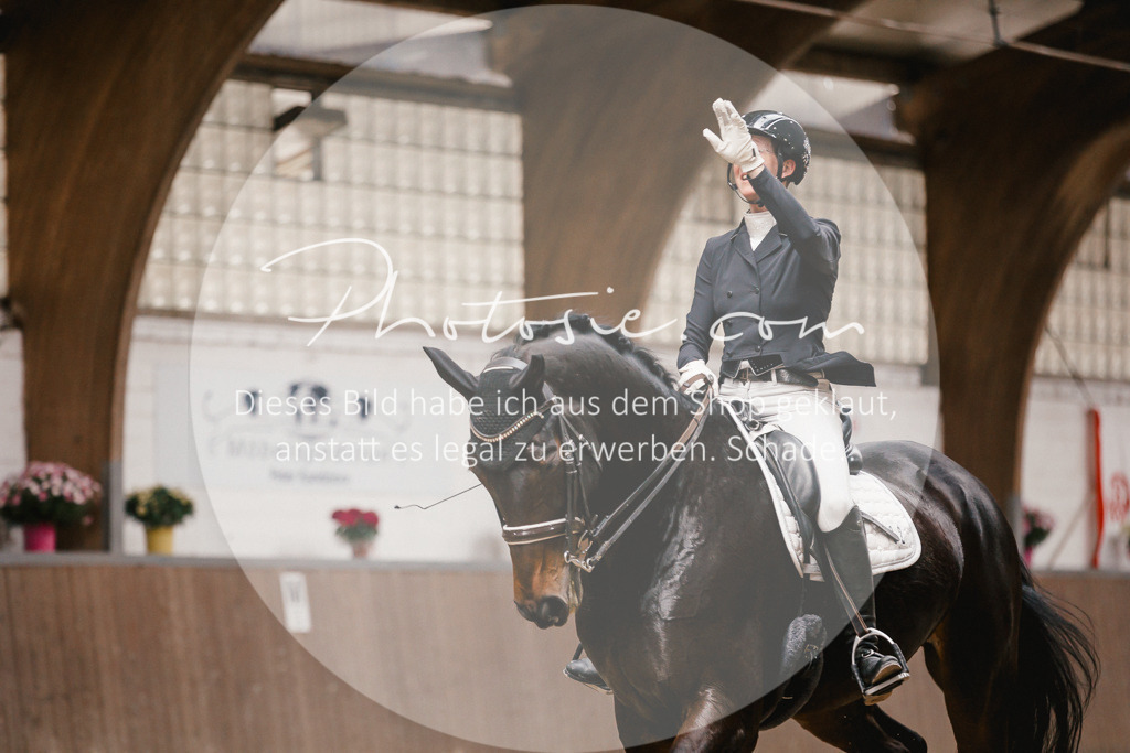 3I6A8274 | Stimmungsvolle Portraits und Reitsportfotografie im Ruhrgebiet und im Münsterland.

Pferdefotografie, Hundefotografie, Tierfotografie, Reportagen, Portraits von Tier und Mensch, Turnierfotografie in Bochum, Recklinghausen, Marl, Haltern am See, Dülmen.. - Realisiert mit Pictrs.com