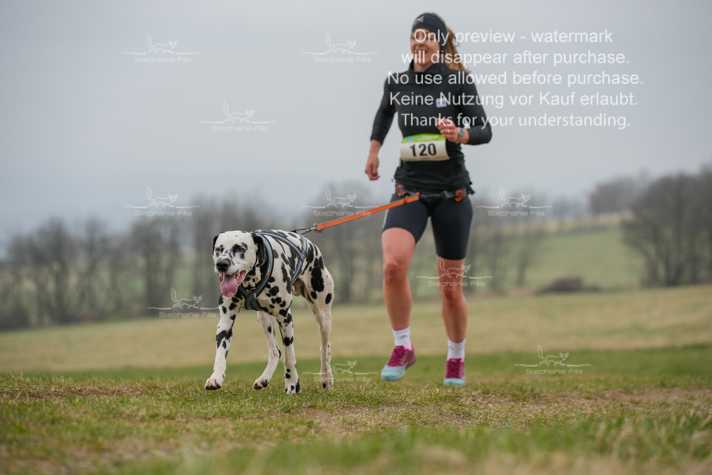 Canixlong-89 | stephaniefillaphotographie - Realisiert mit Pictrs.com