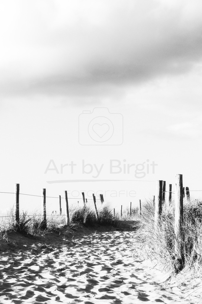 Dünenweg | Weg auf den Dünen in Holland bei Egmond aan Zee - Realisiert mit Pictrs.com