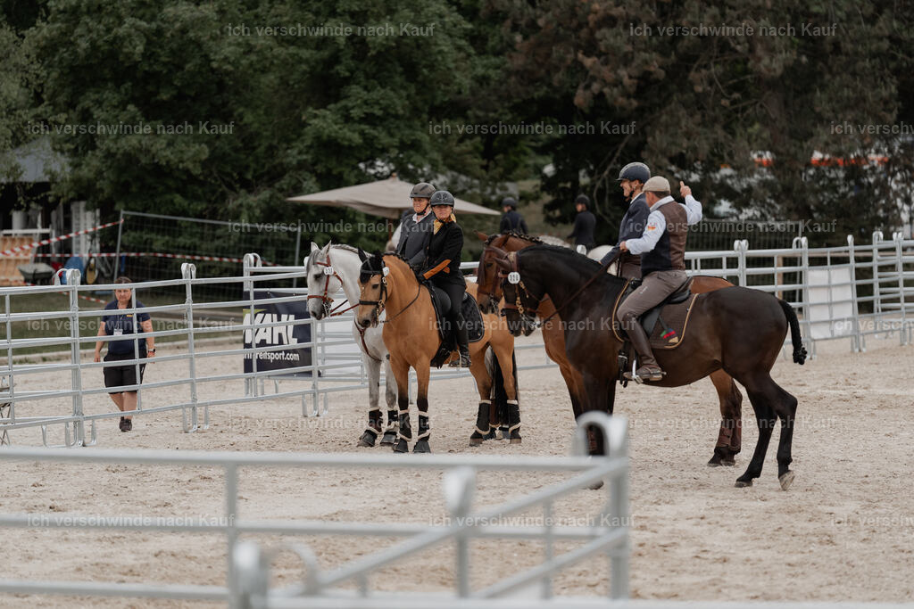 WE__Stoib_Rinder_PI2025_3046 | Pferd International München 2025