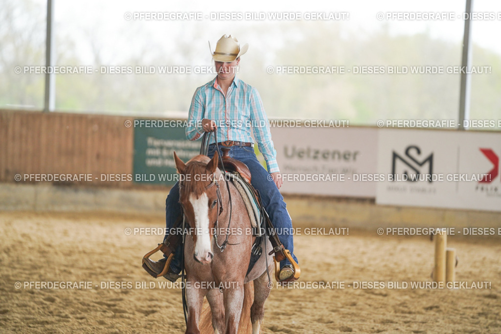 DSC05674 | Pferdegrafie