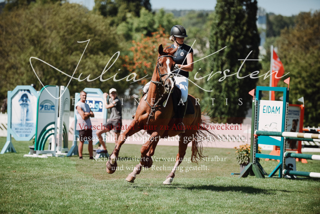 DSC_3099 | Pferde- und Turnierfotografie in Westsachsen. Pferdeportraits, Auftragszeichnungen und intuitive Kunst.