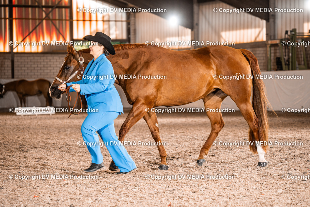 ZH100101 | dv-media-shop - Realisiert mit Pictrs.com