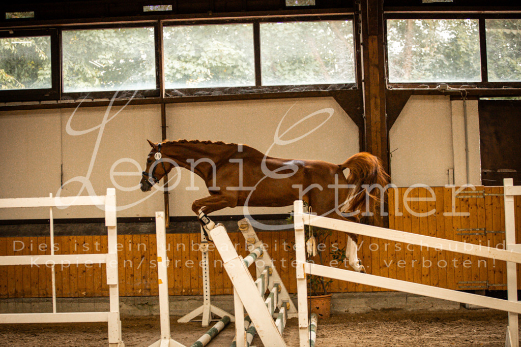 2FS_L00093 | Leoni Ertmer Photography - Realisiert mit Pictrs.com