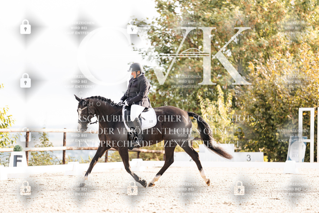 CK900330 | Turnierfotografie Pferdefotografie Trier Rheinland-Pfalz Pferdesport Reitsport Tierfotografie Sportfotografie Pferdevideo Pferdevideografie Equestrianvideography equestrianphotography  - Realisiert mit Pictrs.com