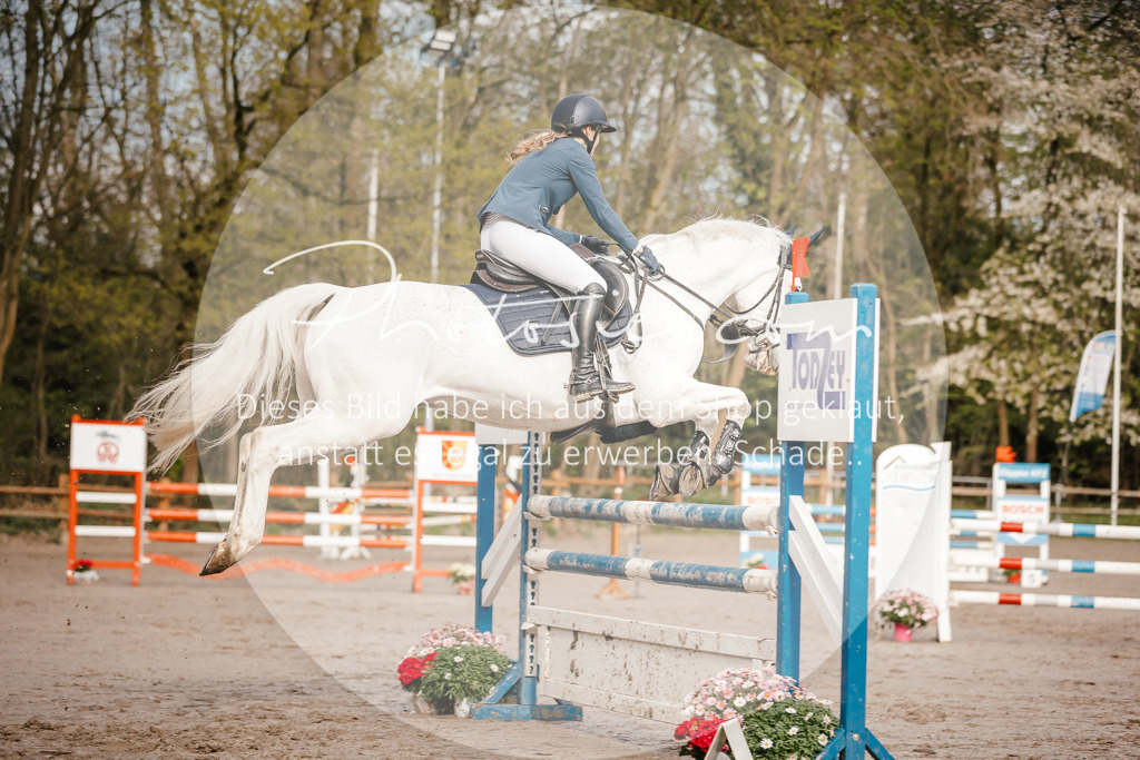 3I6A3278 | Stimmungsvolle Portraits und Reitsportfotografie im Ruhrgebiet und im Münsterland.

Pferdefotografie, Hundefotografie, Tierfotografie, Reportagen, Portraits von Tier und Mensch, Turnierfotografie in Bochum, Recklinghausen, Marl, Haltern am See, Dülmen.. - Realisiert mit Pictrs.com