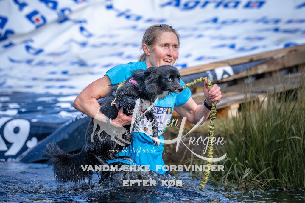 _ZZ973000742 | kk-dogfotos