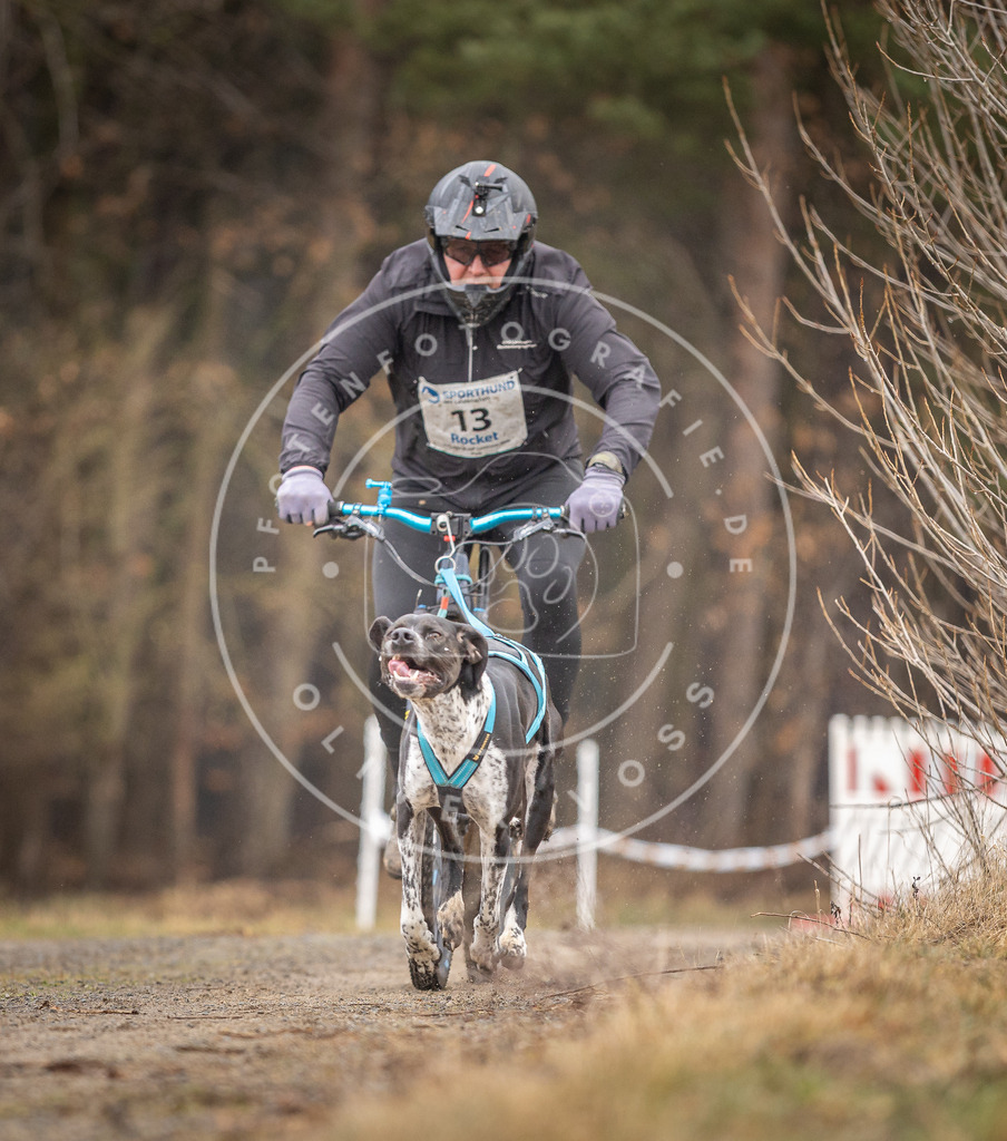 DV3A3225 | Hundefotografie, Tierfotograf, Pfotenfotografie, Fotoshooting Hund, Hunde Portrait, Hundesport, Hundeportraits, Heideshooting, Hunde, Sportfotograf, Hundefotograf, Turnierhundsport, THS,  - Realisiert mit Pictrs.com