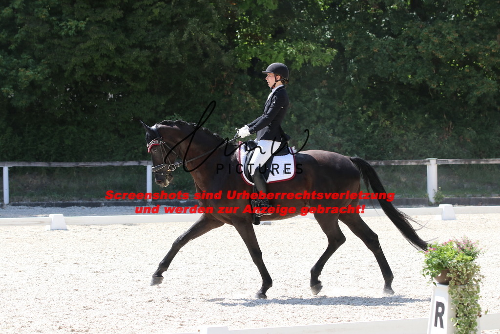 IMG_5178 | lmwpictures - Realisiert mit Pictrs.com