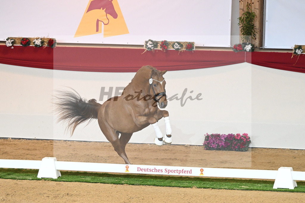Kat-Nr. 73 Vaderland_Galneder_1230438 | hf-fotografie - Realisiert mit Pictrs.com