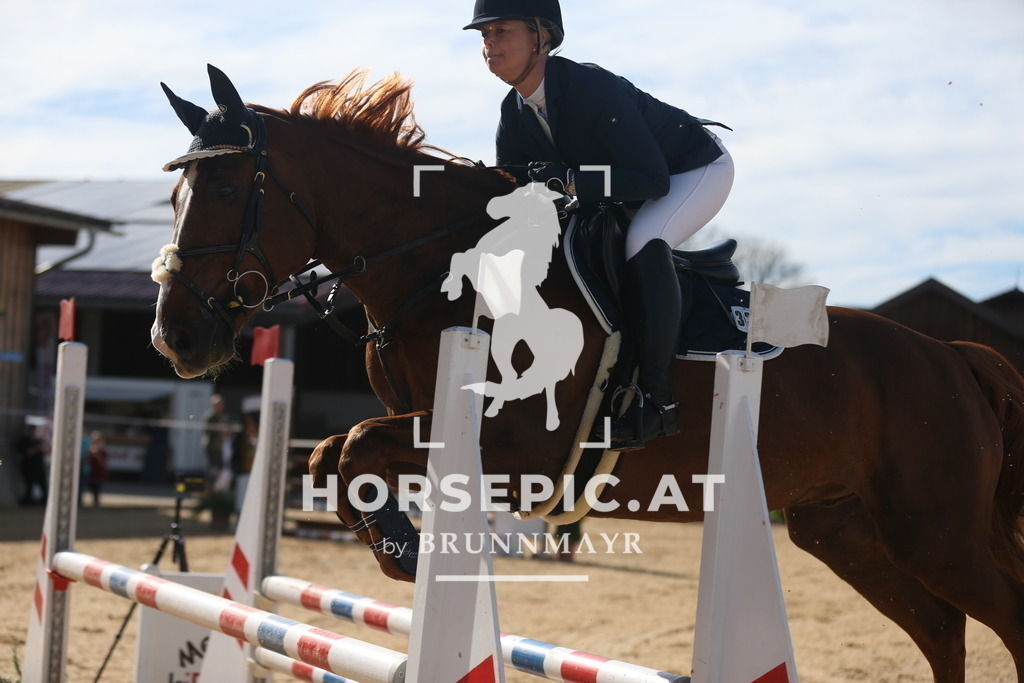 AS8V2759 | Willkommen bei Brunnmayr - Design & Fotografie – Ihrem Spezialisten für Reitturniere und Pferdeveranstaltungen in Oberösterreich, Salzburg und Bayern! Seit über 17 Jahren sind wir leidenschaftlich dabei.