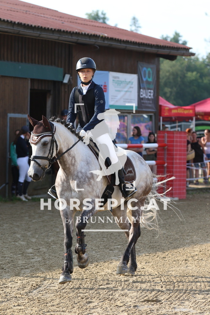 7V2A2388 | Willkommen bei Brunnmayr - Design & Fotografie – Ihrem Spezialisten für Reitturniere und Pferdeveranstaltungen in Oberösterreich, Salzburg und Bayern! Seit über 17 Jahren sind wir leidenschaftlich dabei.