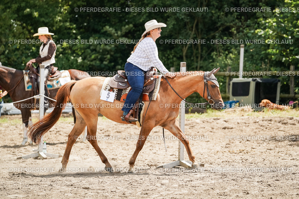 DSC07848 | Pferdegrafie