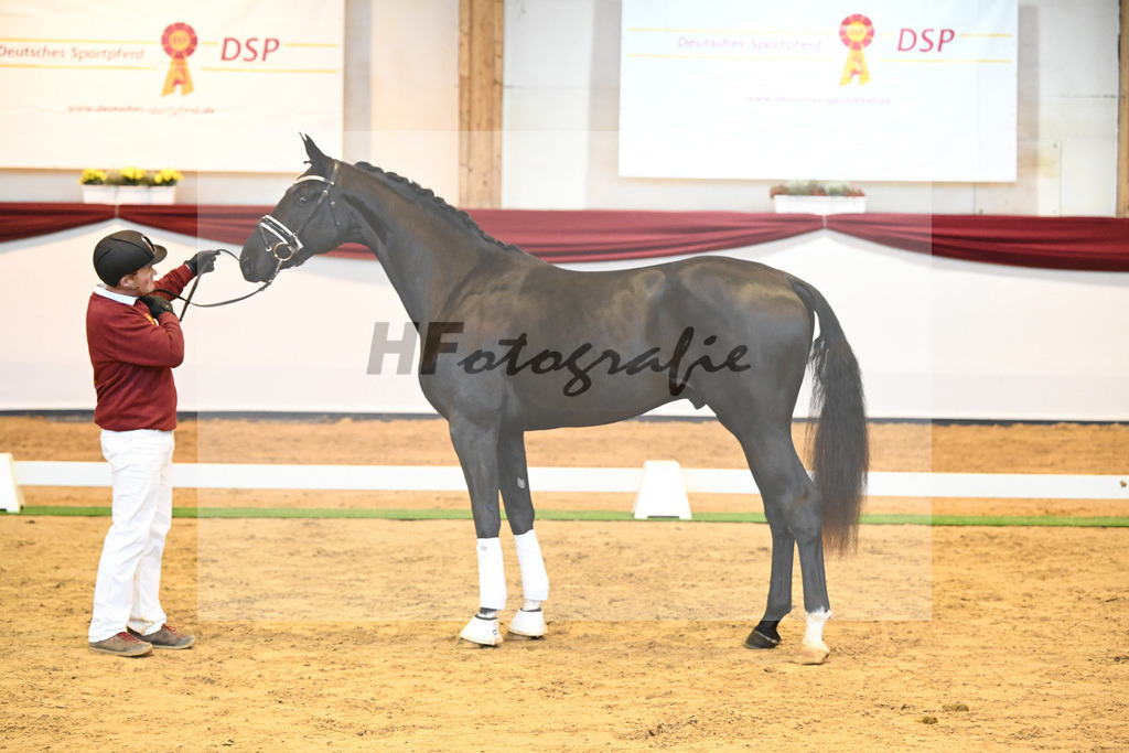 Kat-Nr. 65 v. De Niro Gold_Rohrmoser_66222254 | hf-fotografie - Realisiert mit Pictrs.com