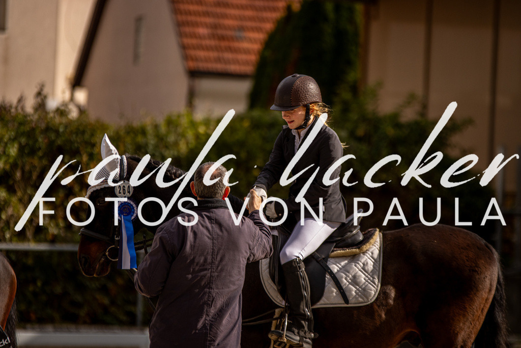 IMG_3810 | Erleben Sie dynamische Sport- und emotionale Tierfotografie in Süddeutschland mit Fotos von Paula. Spezialisiert auf Pferde- und Hundefotografie sowie Sportevents. Kontaktieren Sie mich für einzigartige und ausdrucksstarke Bilder Ihrer besonderen Momente. - Realisiert mit Pictrs.com