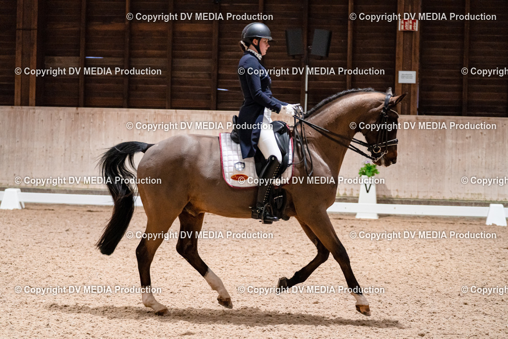 Dressur Tag 2-680 | dv-media-shop - Realisiert mit Pictrs.com