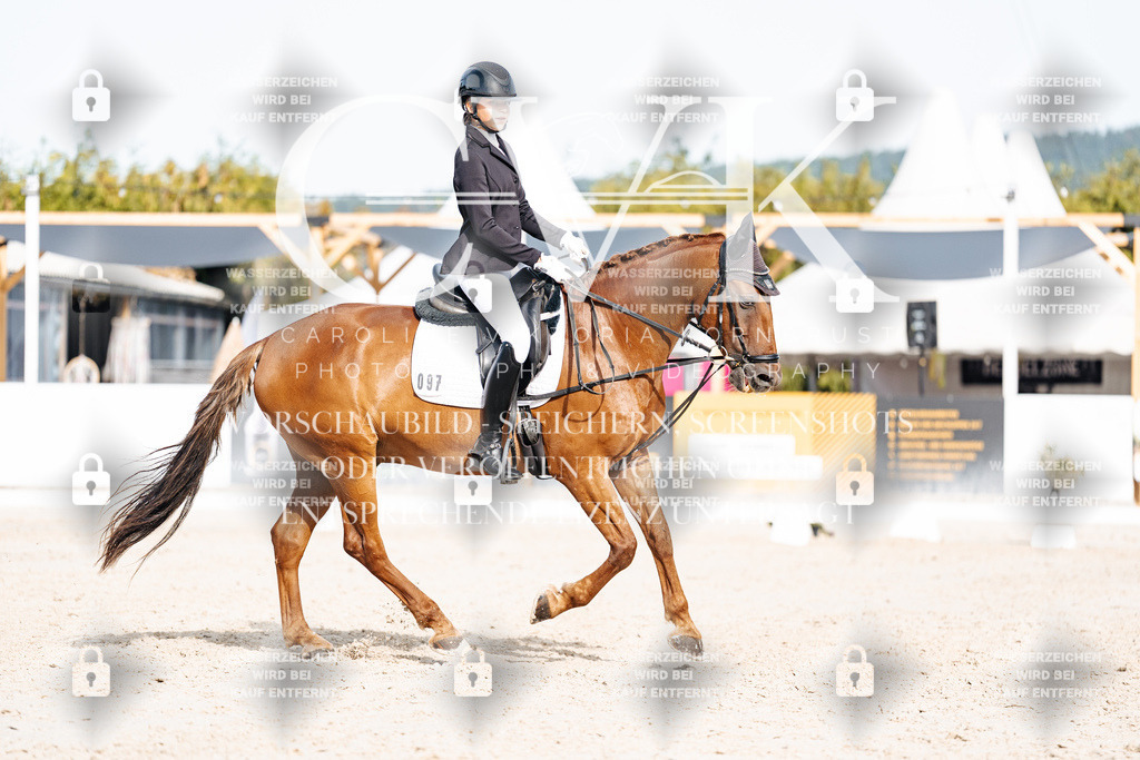 CK905168 | Turnierfotografie Pferdefotografie Trier Rheinland-Pfalz Pferdesport Reitsport Tierfotografie Sportfotografie Pferdevideo Pferdevideografie Equestrianvideography equestrianphotography  - Realisiert mit Pictrs.com