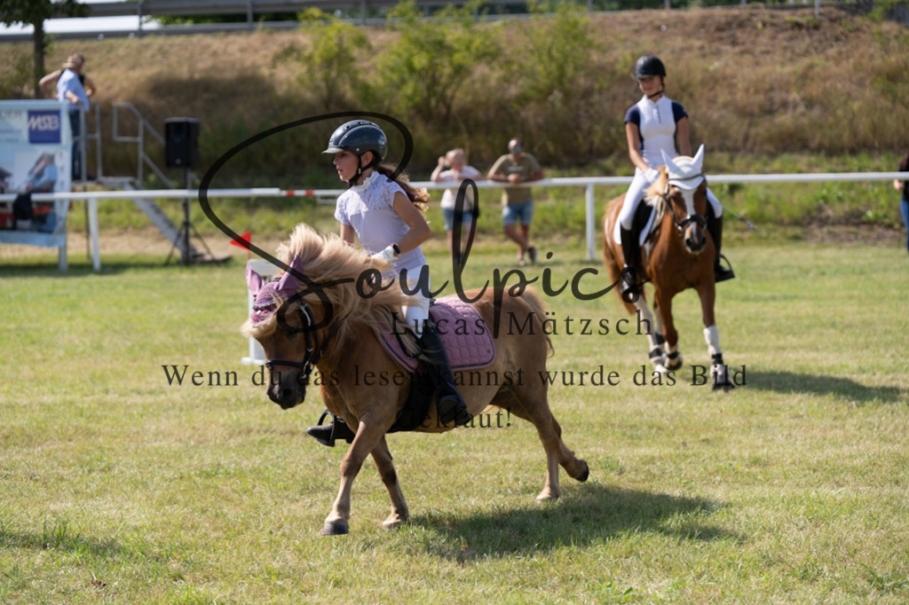 A7V00499 | Turnier/Reitfotograf