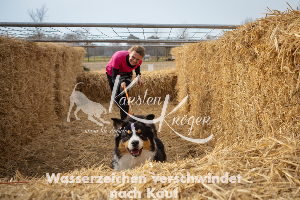 1103_ZZ91888 | kk-dogfotos