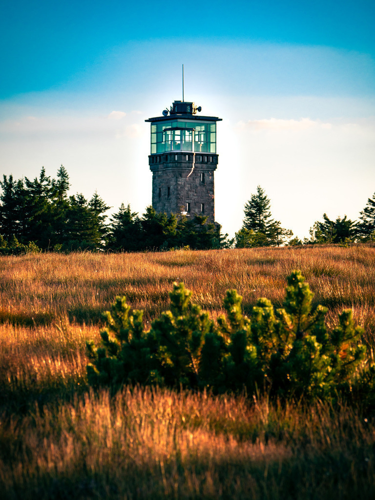 Hornisgrindeturm | Spätsommerliches Hochmoor auf der Hornisgrinde im Nordschwarzwald - Realisiert mit Pictrs.com