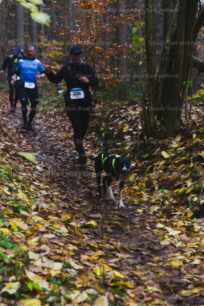 cineathletes-huegelland-2025-11-09-10-53-48 | Sportfotografie rund um Obstacle Course Racing und Trail Run - Realisiert mit Pictrs.com