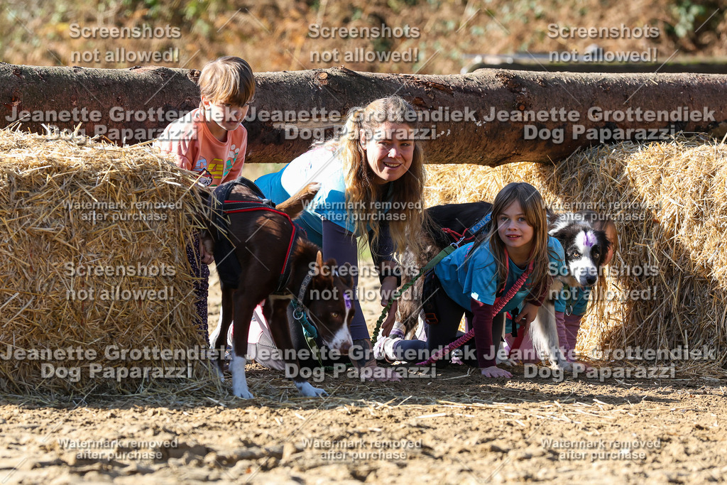 Dog Paparazzi - Strongdog 10-25-2949 | Dog Paparazzi Jeanette Grottendiek Fotografie & Videografie - Realisiert mit Pictrs.com